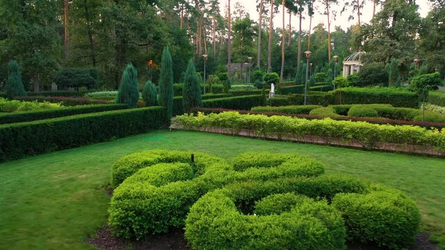 Bucha Central Park. Topiary green summer garden. Fresh quiet dawn in the park.