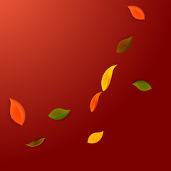 Falling autumn leaves. Red, yellow, green, brown n