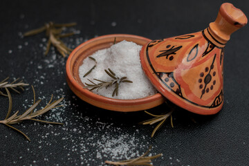 Tajin Typical Moroccan spice container