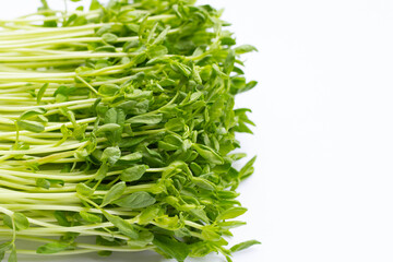 Pea Sprouts on white background.