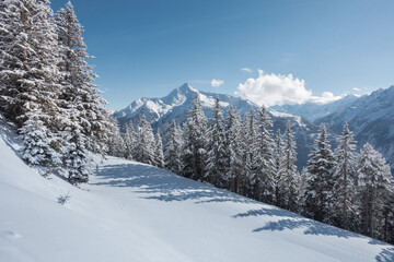 Winter in den Zillertaler Alpen