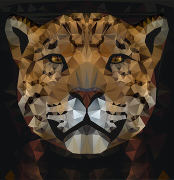Vector polygonal jaguar . Low poly cat illustration. Color vector simple animal predator image.
