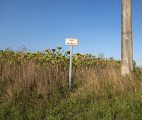 Voyages à travers le temps et l'histoire.. Sur les chemins de grandes randonnées en France et en Europe.