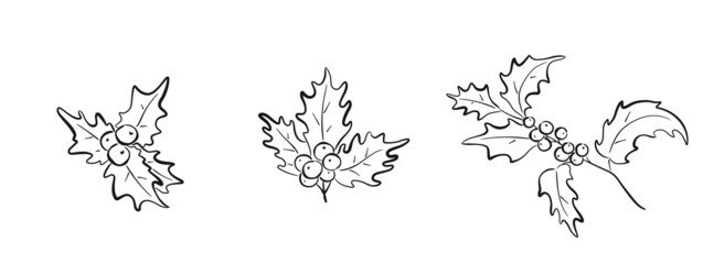 christmas holly branch set. hand drawn flourish element for christmas and new year greeting cards and invitation design © Назарій