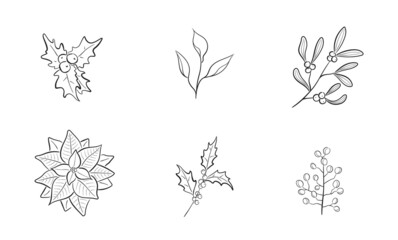 hand drawn christmas plants. holly branch, mistletoe and poinsettia. floral element for christmas invitation design