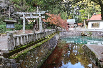  A shrine in Yamaguchi Prefecture in Japan 日本の山口県にある神社 : Beppu-itsukushima-jinjya and its Benten-ike Pond in Mine City 美祢市にある別府厳島神社と弁天池