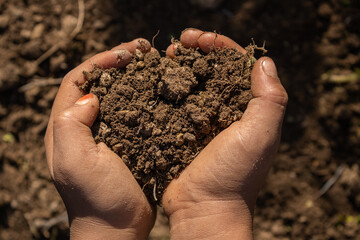 Hand holding soil concept of agriculture.
