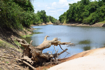 Fototapeta na wymiar dried tree in beautiful river view with fisherman