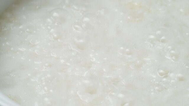 Featured Chinese Pastoral Three-Color Shrimp Congee
