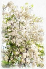 Big tree with white flowers watercolor style illustration impressionist painting.