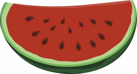 Vector drawing of colored slices of watermelon. A piece of a large red berry. Piece of large pitted fruit
