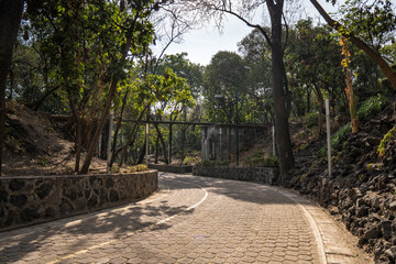 Camino de acceso a hermoso parque de la Ciudad de México en el atardecer