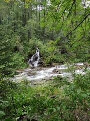 waterfall in the woods