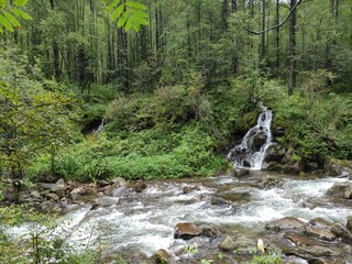 waterfall in the forest