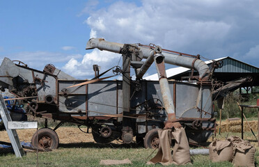 Fototapeta premium Antique farm steam engine equipment in field with chute filling bags sacks of corn