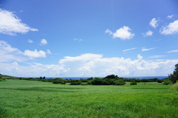 カーボンニュートラル、のどかな風景、空と牧草地