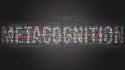 Naklejka premium Metacognition - essential terms related to Metacognition arranged by importance in a 2-color word cloud poster. Reveal primary and peripheral concepts related to Metacognition, 3d illustration