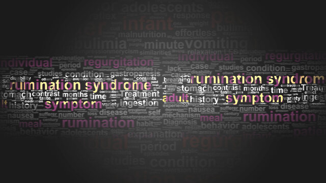 Rumination syndrome - essential terms related to it arranged in a 2-color word cloud poster. Reveals related primary and peripheral concepts, 3d illustration