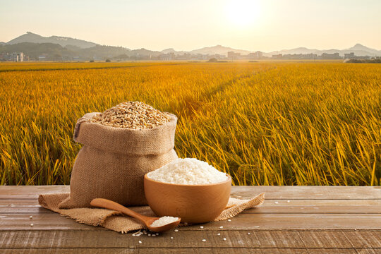 grains in a sacks with a bowl of rice on wooden table before rice paddy field sunset.