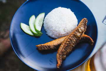 Fish and Rice on plate