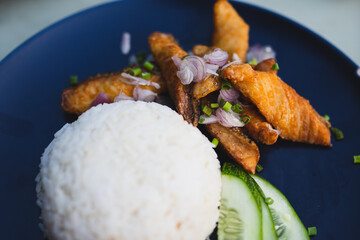 Fish and Rice on plate