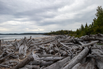 Fototapeta na wymiar driftwood on the beach at Lake Superior