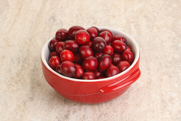 Ripe sweet tasty cranberry in the bowl