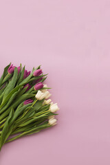 Bouquet of pink and white tulips on a pink vertical background.