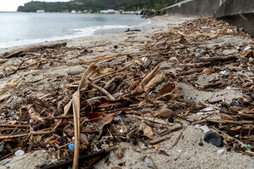 海岸に流れ着いたプラスチックごみ　小笠原