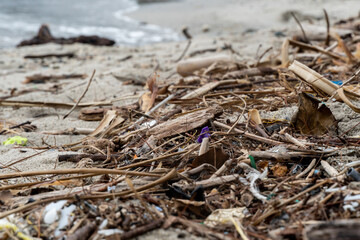 海岸に流れ着いたプラスチックごみ　小笠原