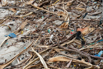 海岸に流れ着いたプラスチックごみ　小笠原