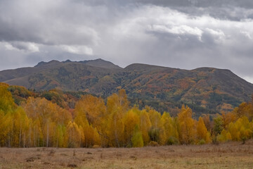 Beautiful golden autumn in mountains panoramic landscape. Autumn forest background. Colorful red, orange, green forest in mountains. Dzhungarian Alatau in Kazakhstan. Tourism, travel concept.