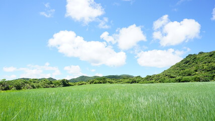 牧草地と青空、グリーンエネルギーをいかす © from-ishigaki