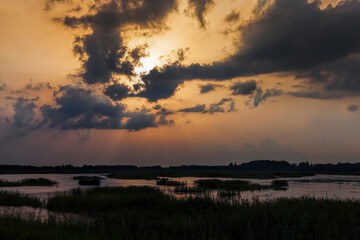 lake with plants during sunset, reflection in the lake