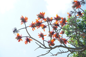 下から眺めるディゴ