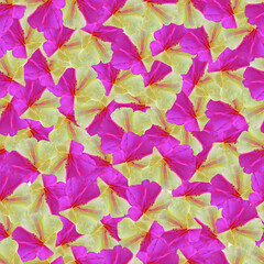 Yellow-pink flowers seamless pattern. Beautiful yellow-pink flowers. 