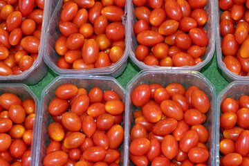 set tomato background red cherry dutch vegetable greenhouse street