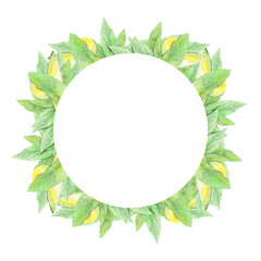 watercolor round frame with avocado on white background
