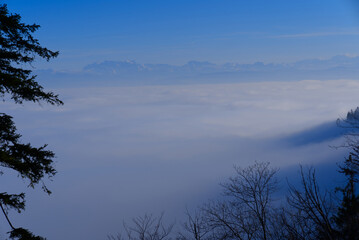 Panoramic landscape with silhouettes of trees and sea of fog seen from local mountain Uetliberg at Canton Z&uuml;rich on a sunny autumn day. Photo taken November 12th, 2021, Zurich, Switzerland.