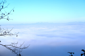 Scenic panoramic landscape with trees and sea of fog seen from local mountain Uetliberg at Canton Zürich on a sunny autumn day. Photo taken November 12th, 2021, Zurich, Switzerland.