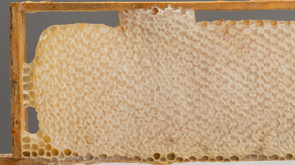Bee honeycomb with honey in a wooden frame.