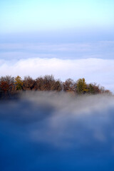 Scenic panoramic landscape with trees and sea of fog seen from local mountain Uetliberg at Canton Zürich on a sunny autumn day. Photo taken November 12th, 2021, Zurich, Switzerland.