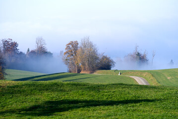Scenic panoramic landscape with foggy background and meadow in the foreground on a sunny autumn day. Photo taken November 12th, 2021, Zurich, Switzerland.