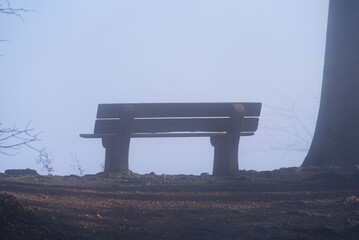 Wooden bench at region Uetliberg Albis, Canton Zürich, on a foggy afternoon. Photo taken November...