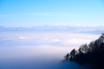 Panorama with silhouettes of trees and sea of fog seen from local mountain Uetliberg at Canton Zürich on a sunny autumn day. Photo taken November 12th, 2021, Zurich, Switzerland.