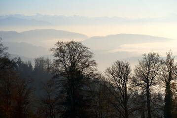Fototapeta na wymiar Scenic panoramic landscape with Swiss alps in the background and sea of fog on a sunny autumn day. Photo taken November 12th, 2021, Zurich, Switzerland.