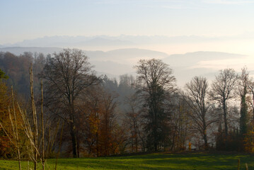 Obraz na płótnie Canvas Scenic panoramic landscape with Swiss alps in the background and sea of fog on a sunny autumn day. Photo taken November 12th, 2021, Zurich, Switzerland.