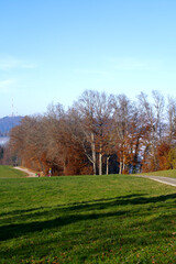 Naklejka premium Scenic panoramic landscape with foggy background and meadow in the foreground on a sunny autumn day. Photo taken November 12th, 2021, Zurich, Switzerland.