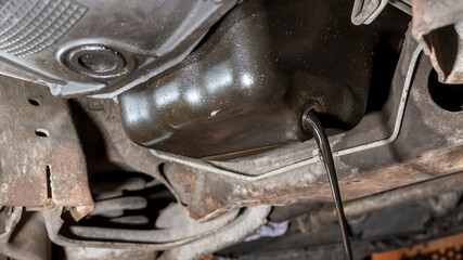 Old and dirty oil is drained from the underchassis of an SUV. Maintenance procedure of a diesel...