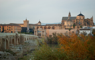 the beautiful city of Cordoba in Andalusia, a fusion of the Islamic and Christian world